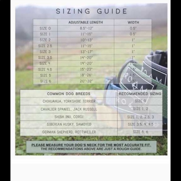 NIP Roam dog collar - Picture 4 of 5